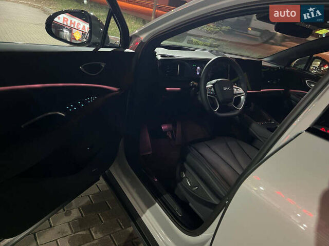 Серый БИД Sea Lion 06, объемом двигателя 0 л и пробегом 1 тыс. км за 29800 $, фото 9 на Automoto.ua