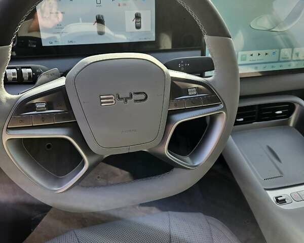 Серый БИД Sea Lion 06, объемом двигателя 0 л и пробегом 1 тыс. км за 28900 $, фото 33 на Automoto.ua