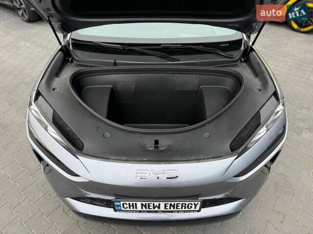 Серый БИД Sea Lion 06, объемом двигателя 0 л и пробегом 1 тыс. км за 28900 $, фото 43 на Automoto.ua