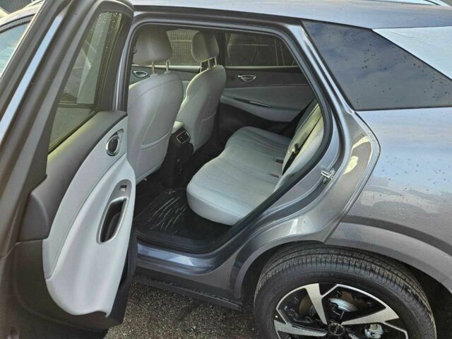 Серый БИД Sea Lion 06, объемом двигателя 0 л и пробегом 1 тыс. км за 28900 $, фото 2 на Automoto.ua