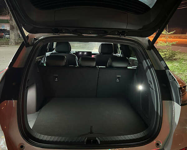 Серый БИД Sea Lion 06, объемом двигателя 0 л и пробегом 1 тыс. км за 29800 $, фото 16 на Automoto.ua