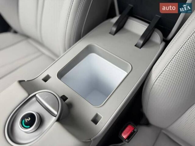 Серый БИД Sea Lion 06, объемом двигателя 0 л и пробегом 1 тыс. км за 28900 $, фото 29 на Automoto.ua