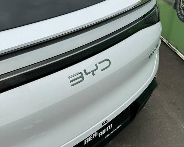 Білий БІД Sea Lion 07, об'ємом двигуна 0 л та пробігом 13 тис. км за 28900 $, фото 10 на Automoto.ua