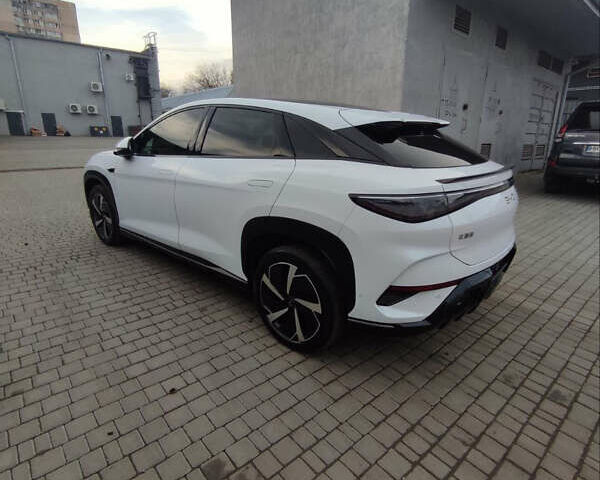 Белый БИД Sea Lion 07, объемом двигателя 0 л и пробегом 2 тыс. км за 31999 $, фото 4 на Automoto.ua