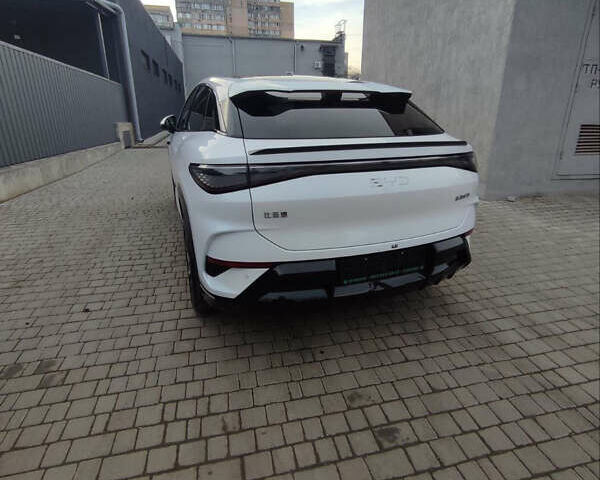 Белый БИД Sea Lion 07, объемом двигателя 0 л и пробегом 2 тыс. км за 31999 $, фото 10 на Automoto.ua