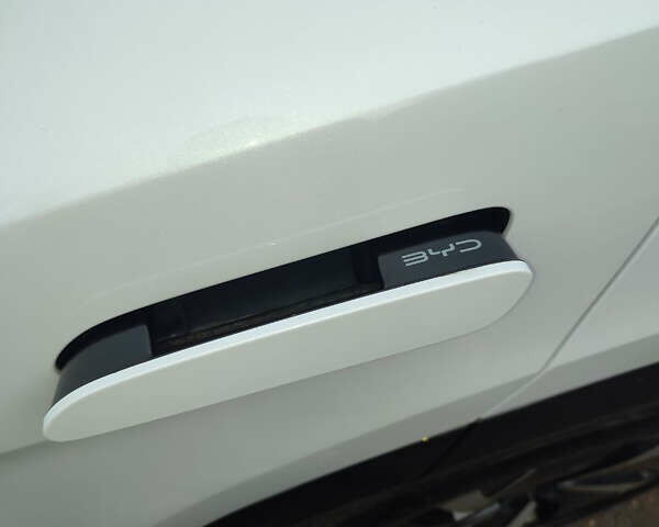 Белый БИД Sea Lion 07, объемом двигателя 0 л и пробегом 2 тыс. км за 31999 $, фото 13 на Automoto.ua