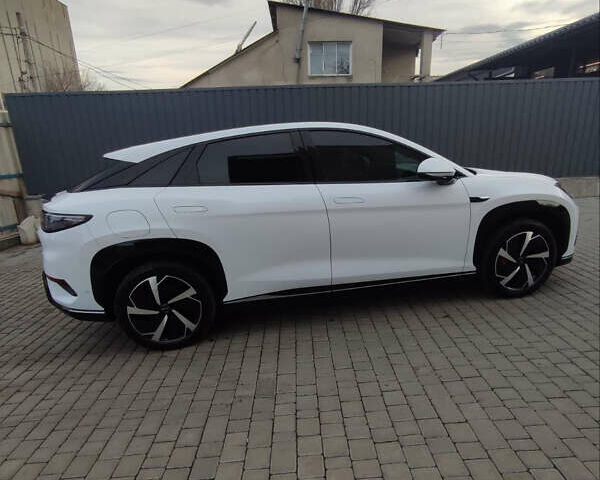 Белый БИД Sea Lion 07, объемом двигателя 0 л и пробегом 2 тыс. км за 31999 $, фото 3 на Automoto.ua