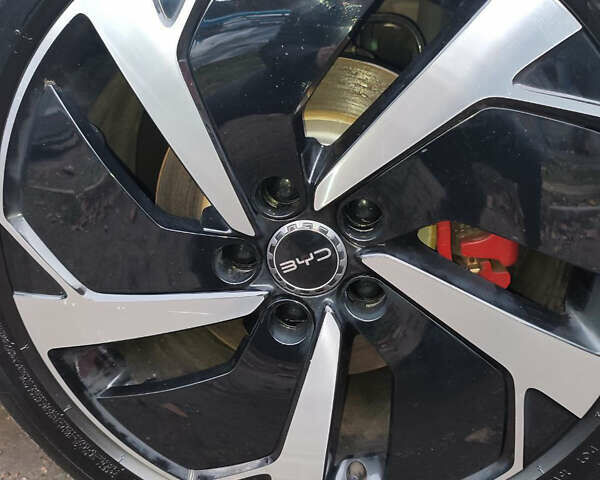 Белый БИД Sea Lion 07, объемом двигателя 0 л и пробегом 2 тыс. км за 31999 $, фото 11 на Automoto.ua