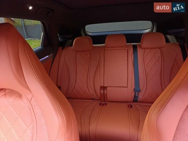 Черный БИД Sea Lion 07, объемом двигателя 0 л и пробегом 1 тыс. км за 35000 $, фото 12 на Automoto.ua