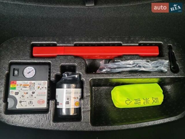 Фиолетовый БИД Sea Lion 07, объемом двигателя 0 л и пробегом 1 тыс. км за 36000 $, фото 61 на Automoto.ua