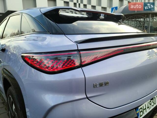 Фиолетовый БИД Sea Lion 07, объемом двигателя 0 л и пробегом 1 тыс. км за 36000 $, фото 24 на Automoto.ua