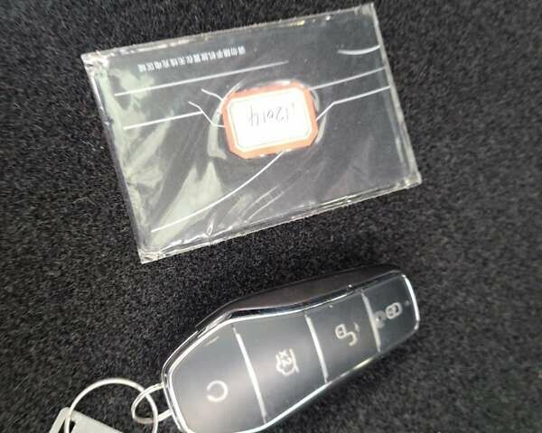 Фиолетовый БИД Sea Lion 07, объемом двигателя 0 л и пробегом 1 тыс. км за 36000 $, фото 59 на Automoto.ua