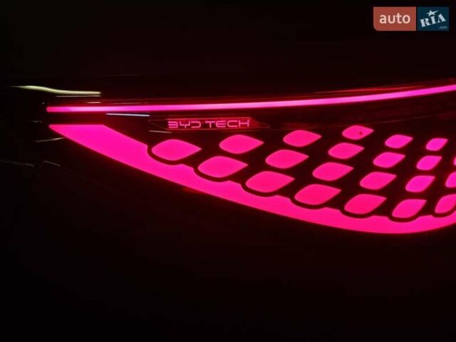 Фиолетовый БИД Sea Lion 07, объемом двигателя 0 л и пробегом 1 тыс. км за 36000 $, фото 85 на Automoto.ua