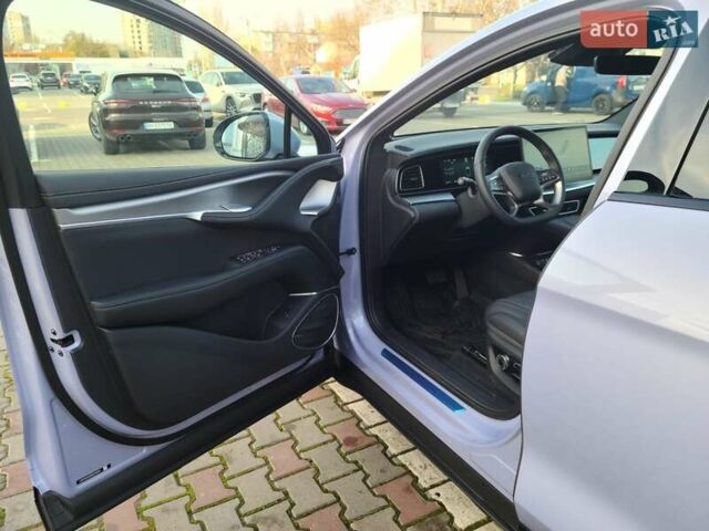 Фиолетовый БИД Sea Lion 07, объемом двигателя 0 л и пробегом 1 тыс. км за 36000 $, фото 28 на Automoto.ua