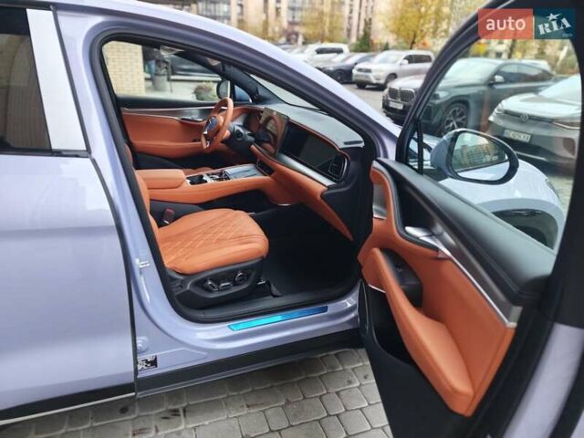 Фиолетовый БИД Sea Lion 07, объемом двигателя 0 л и пробегом 1 тыс. км за 32500 $, фото 10 на Automoto.ua