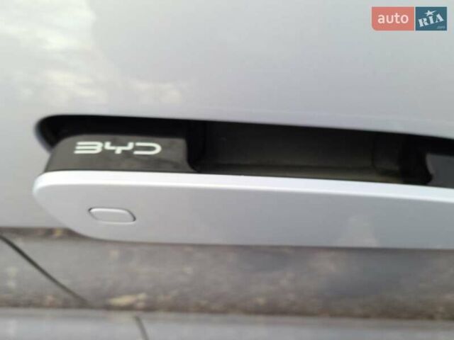 Фиолетовый БИД Sea Lion 07, объемом двигателя 0 л и пробегом 1 тыс. км за 36000 $, фото 64 на Automoto.ua