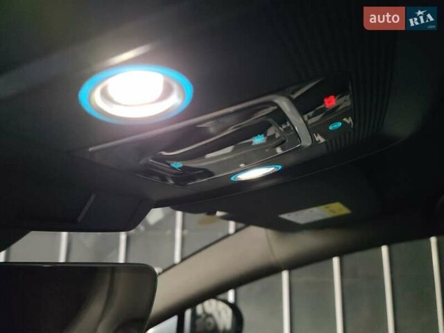 Фиолетовый БИД Sea Lion 07, объемом двигателя 0 л и пробегом 1 тыс. км за 36000 $, фото 82 на Automoto.ua