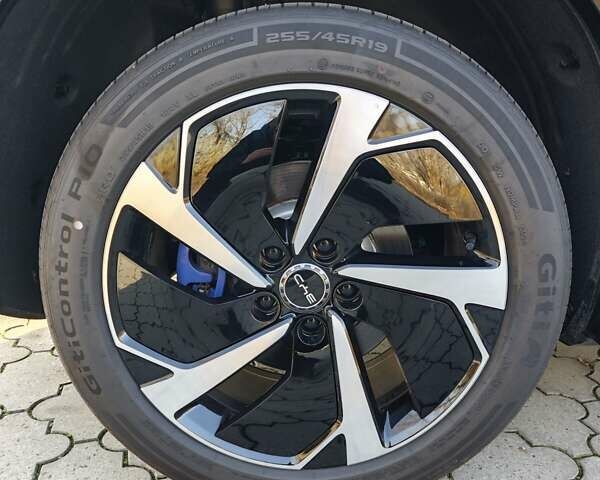 Фиолетовый БИД Sea Lion 07, объемом двигателя 0 л и пробегом 1 тыс. км за 32500 $, фото 17 на Automoto.ua