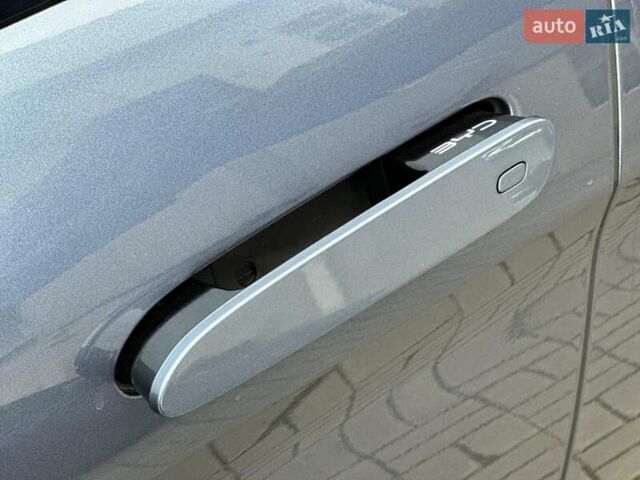 Серый БИД Sea Lion 07, объемом двигателя 0 л и пробегом 1 тыс. км за 33990 $, фото 15 на Automoto.ua