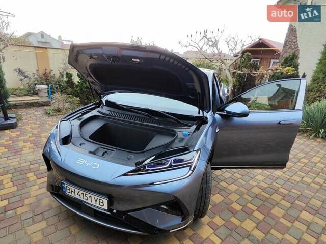 Серый БИД Sea Lion 07, объемом двигателя 0 л и пробегом 1 тыс. км за 36200 $, фото 11 на Automoto.ua