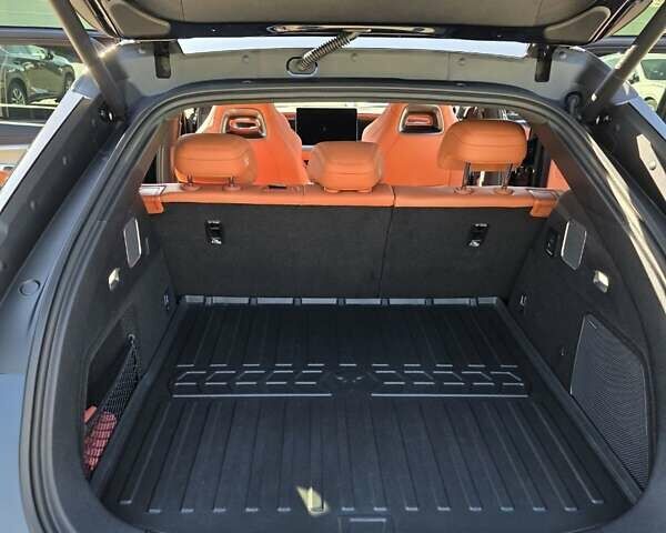 Чорний БІД Sea Lion 7, об'ємом двигуна 0 л та пробігом 7 тис. км за 36500 $, фото 11 на Automoto.ua