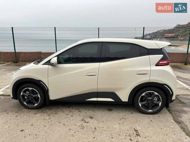 Белый БИД Seagull, объемом двигателя 0 л и пробегом 18 тыс. км за 13500 $, фото 3 на Automoto.ua