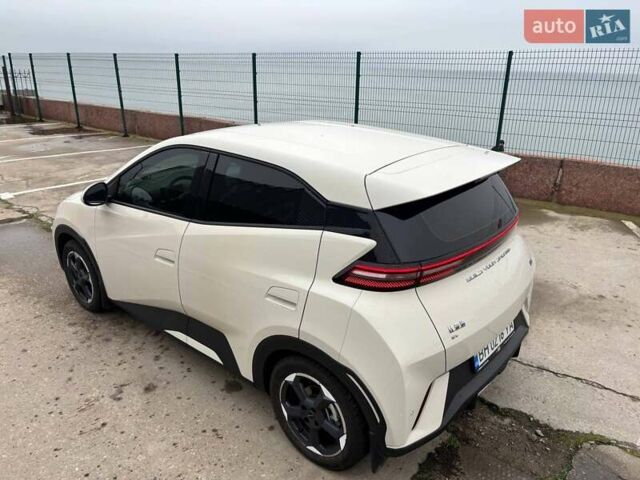 Белый БИД Seagull, объемом двигателя 0 л и пробегом 18 тыс. км за 13500 $, фото 4 на Automoto.ua