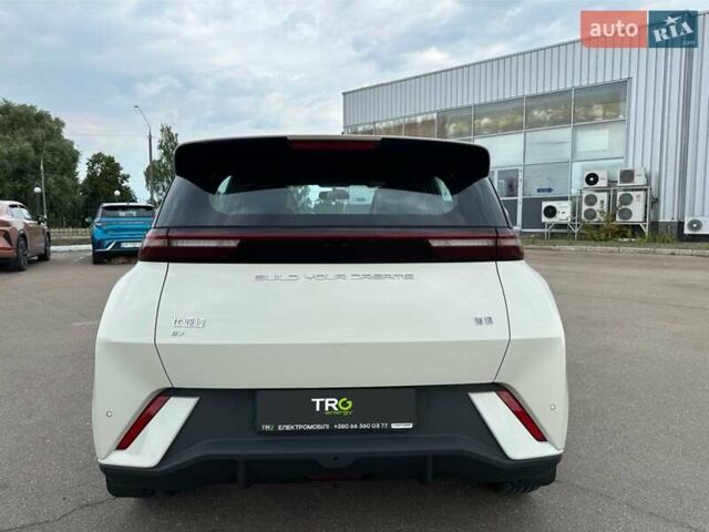 Белый БИД Seagull, объемом двигателя 0 л и пробегом 22 тыс. км за 12300 $, фото 5 на Automoto.ua