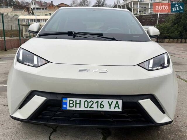 Белый БИД Seagull, объемом двигателя 0 л и пробегом 18 тыс. км за 13500 $, фото 5 на Automoto.ua