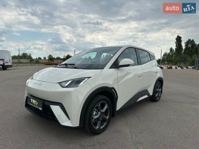 Белый БИД Seagull, объемом двигателя 0 л и пробегом 22 тыс. км за 12300 $, фото 1 на Automoto.ua