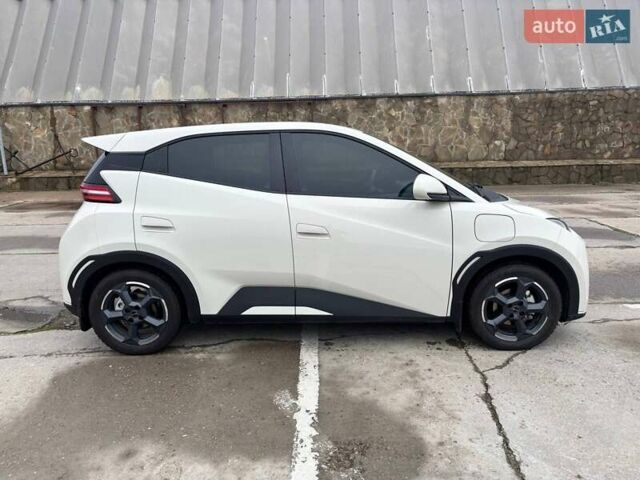 Белый БИД Seagull, объемом двигателя 0 л и пробегом 18 тыс. км за 13500 $, фото 1 на Automoto.ua