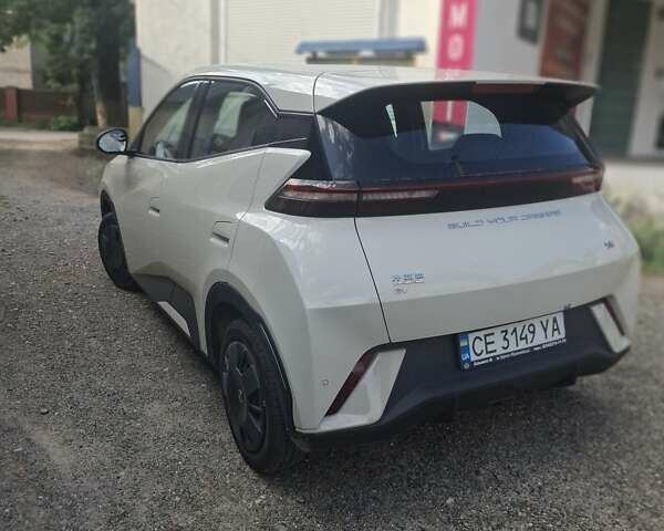 Белый БИД Seagull, объемом двигателя 0 л и пробегом 10 тыс. км за 13100 $, фото 2 на Automoto.ua