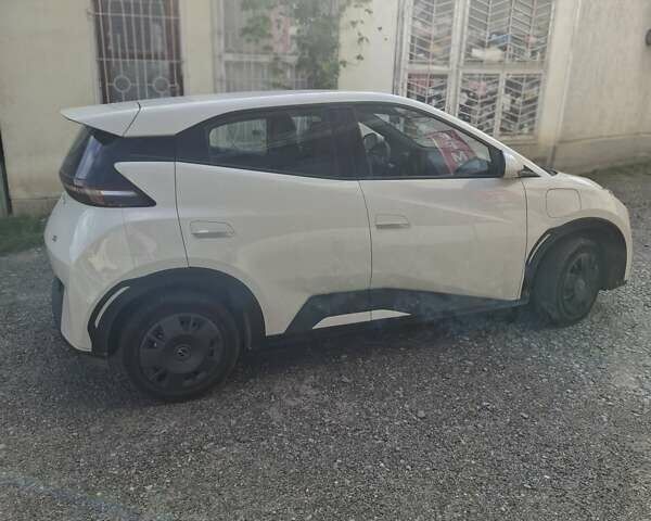 Белый БИД Seagull, объемом двигателя 0 л и пробегом 10 тыс. км за 13100 $, фото 6 на Automoto.ua