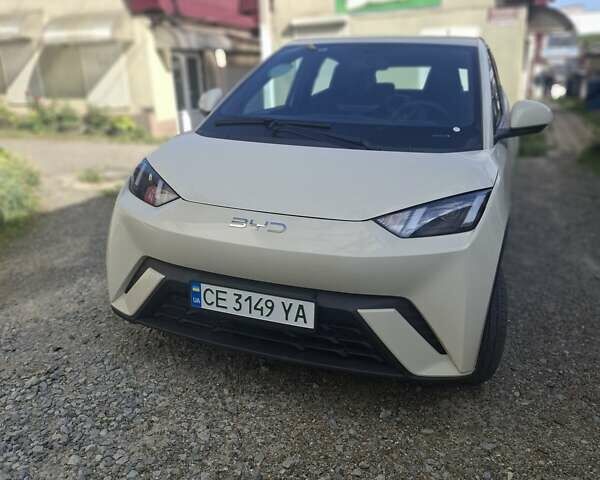 Белый БИД Seagull, объемом двигателя 0 л и пробегом 10 тыс. км за 13100 $, фото 1 на Automoto.ua