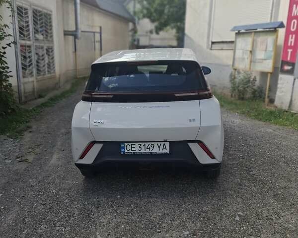 Белый БИД Seagull, объемом двигателя 0 л и пробегом 10 тыс. км за 13100 $, фото 3 на Automoto.ua