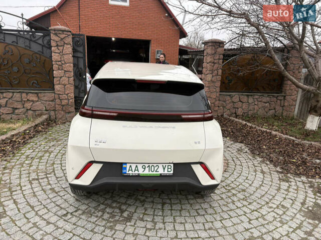 Белый БИД Seagull, объемом двигателя 0 л и пробегом 21 тыс. км за 14300 $, фото 2 на Automoto.ua