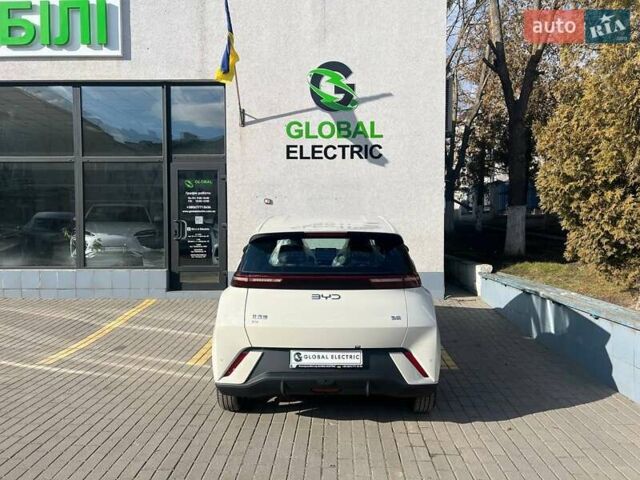 Белый БИД Seagull, объемом двигателя 0 л и пробегом 1 тыс. км за 15700 $, фото 5 на Automoto.ua