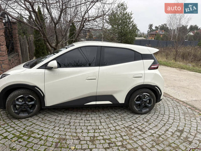 Белый БИД Seagull, объемом двигателя 0 л и пробегом 21 тыс. км за 14300 $, фото 7 на Automoto.ua