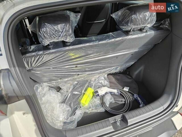 Белый БИД Seagull, объемом двигателя 0 л и пробегом 1 тыс. км за 14600 $, фото 38 на Automoto.ua