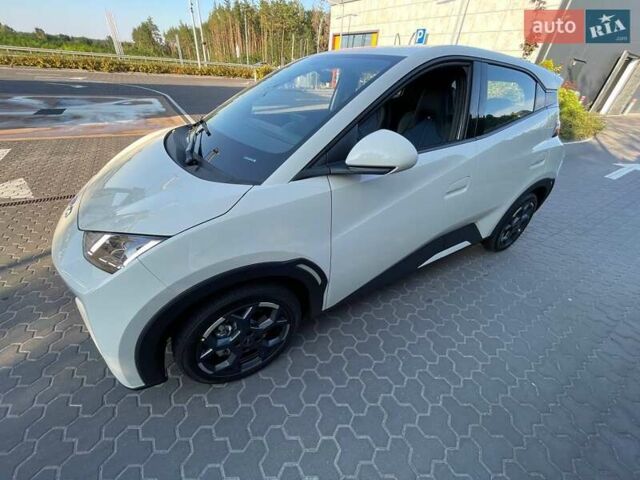 Белый БИД Seagull, объемом двигателя 0 л и пробегом 1 тыс. км за 14300 $, фото 2 на Automoto.ua