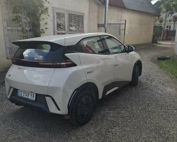 Белый БИД Seagull, объемом двигателя 0 л и пробегом 10 тыс. км за 13100 $, фото 4 на Automoto.ua