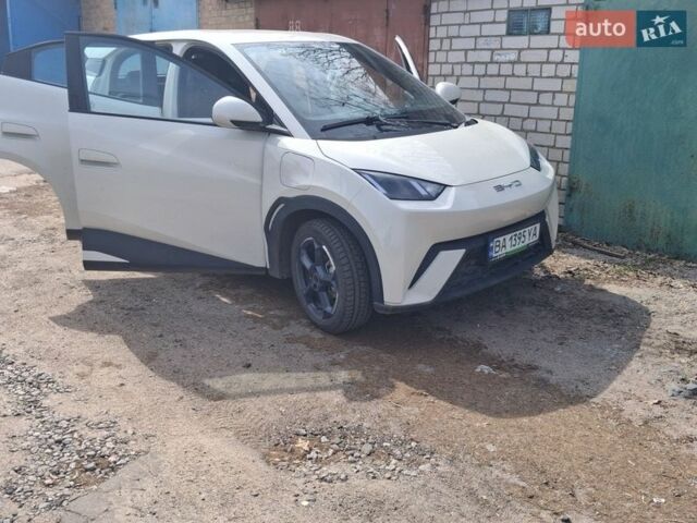 Белый БИД Seagull, объемом двигателя 0 л и пробегом 7 тыс. км за 15300 $, фото 4 на Automoto.ua