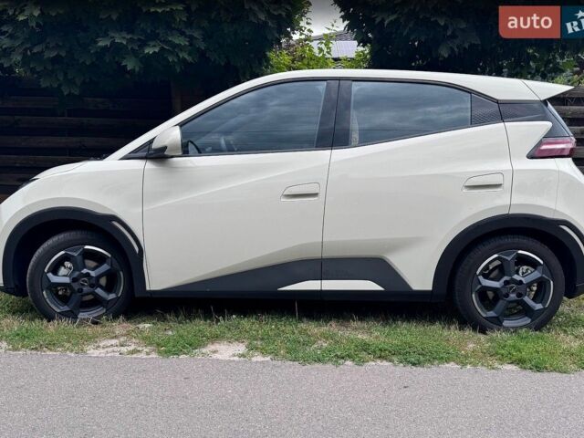 Белый БИД Seagull, объемом двигателя 0 л и пробегом 18 тыс. км за 15999 $, фото 3 на Automoto.ua