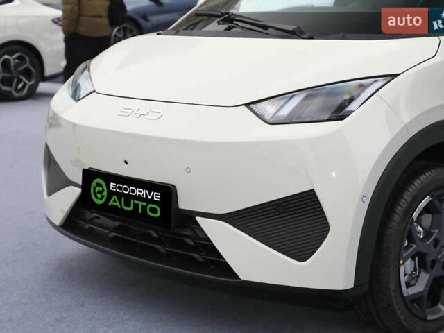 Белый БИД Seagull, объемом двигателя 0 л и пробегом 15 тыс. км за 14000 $, фото 6 на Automoto.ua