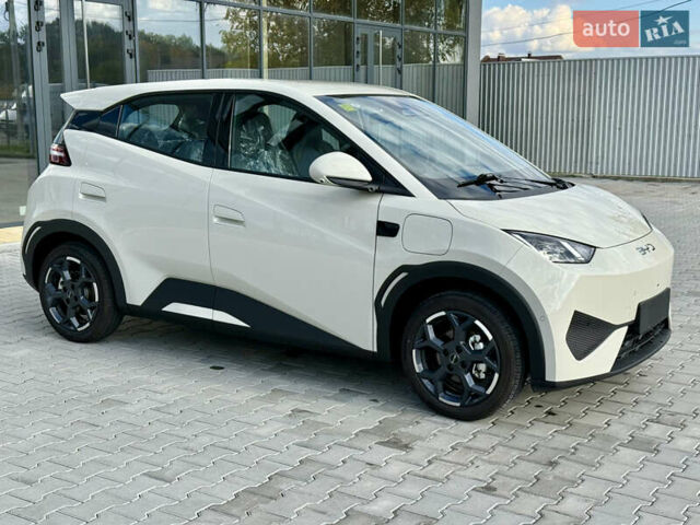 Белый БИД Seagull, объемом двигателя 0 л и пробегом 1 тыс. км за 16100 $, фото 6 на Automoto.ua