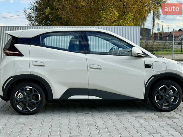 Белый БИД Seagull, объемом двигателя 0 л и пробегом 1 тыс. км за 16100 $, фото 5 на Automoto.ua