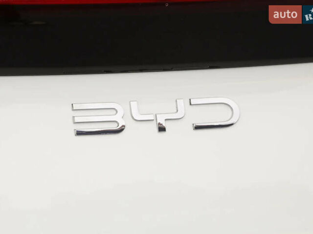 Белый БИД Seagull, объемом двигателя 0 л и пробегом 15 тыс. км за 14000 $, фото 19 на Automoto.ua