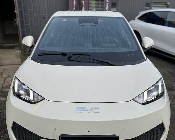 Белый БИД Seagull, объемом двигателя 0 л и пробегом 1 тыс. км за 16400 $, фото 2 на Automoto.ua