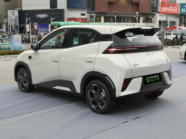 Белый БИД Seagull, объемом двигателя 0 л и пробегом 15 тыс. км за 14000 $, фото 3 на Automoto.ua