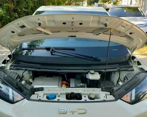 Бежевый БИД Seagull, объемом двигателя 0 л и пробегом 6 тыс. км за 13400 $, фото 11 на Automoto.ua